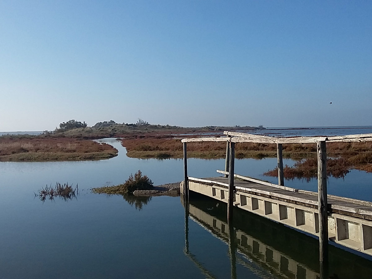 Paysage de Camargue