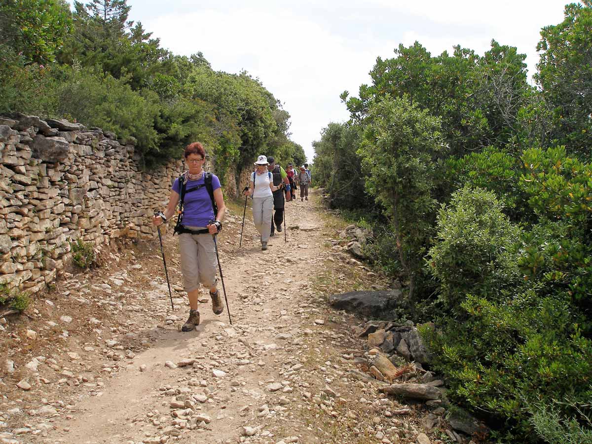 Nordic Walking dans les P.O.