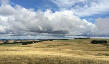 Image Aubrac été 1